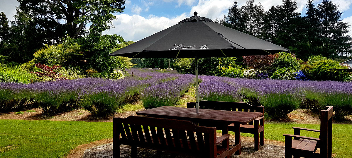 Laurens-Lavender-Farm-Taumarunui